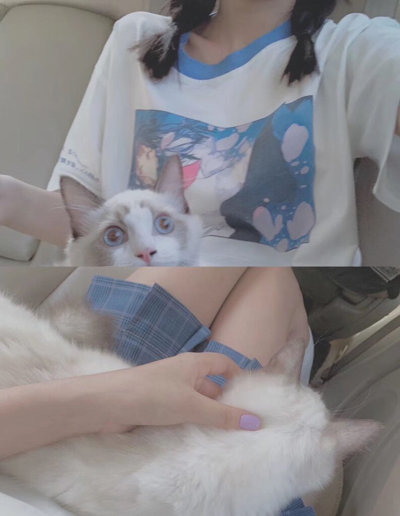 mmexport1626711343372