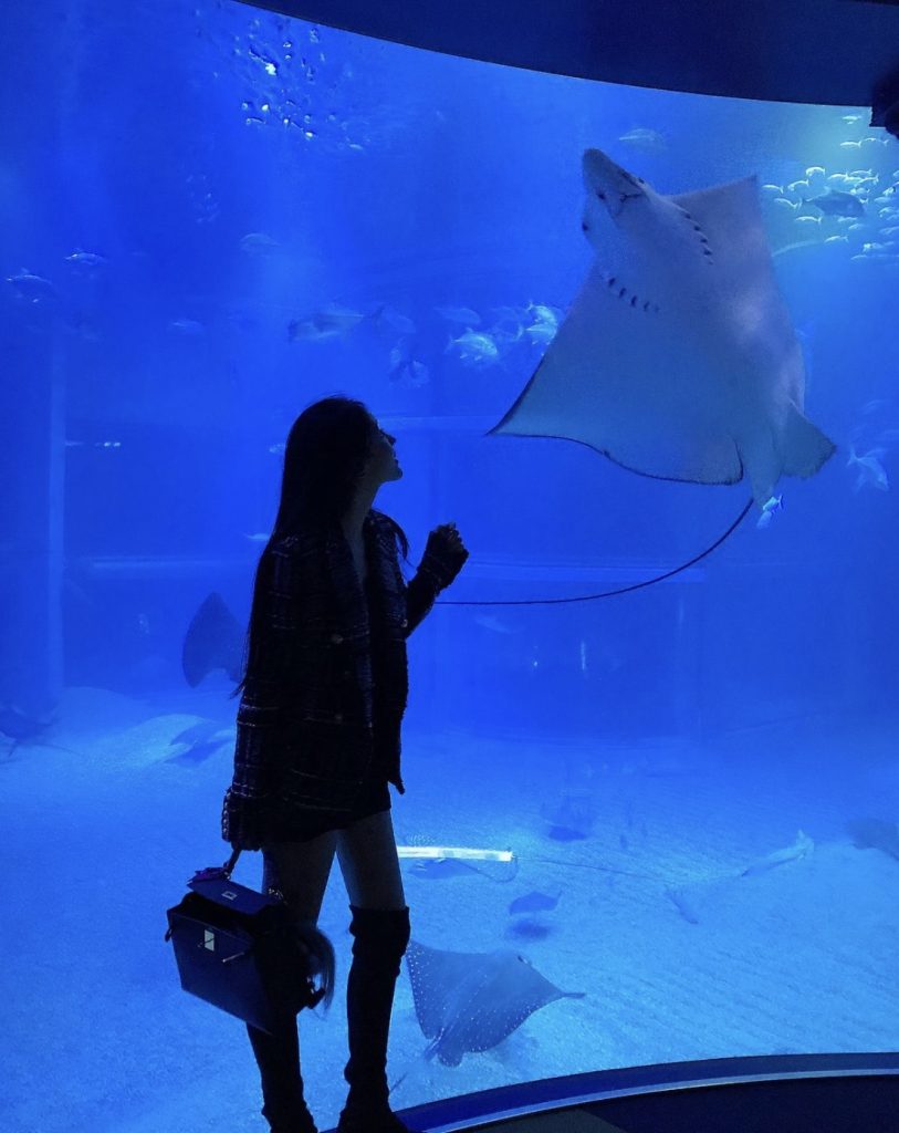 mmexport1662890786846