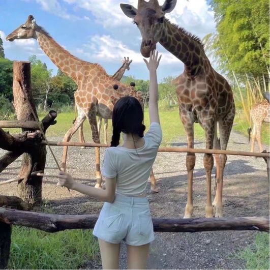 IMG 20240610 205258 255