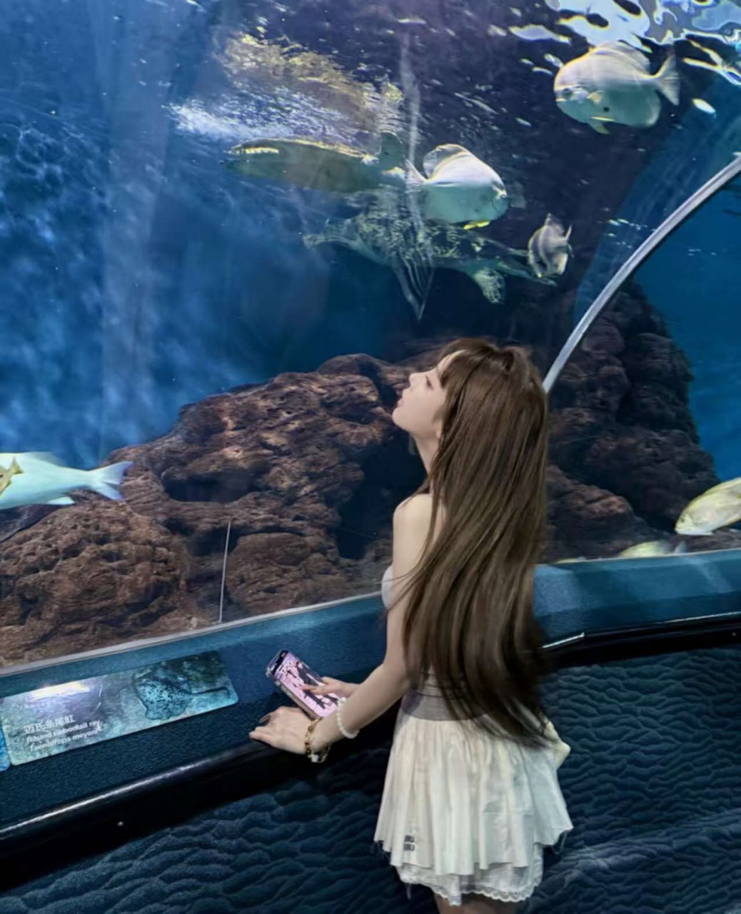 沈阳外围学生妹 170 天然D 兼职 学生 新人 4 file 6153